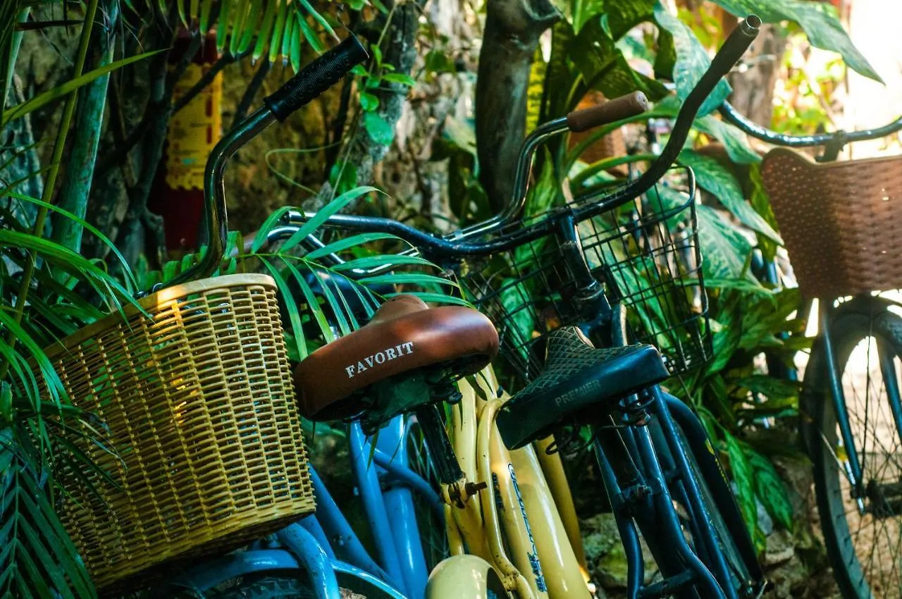 Chill Inn Hostel Tulum