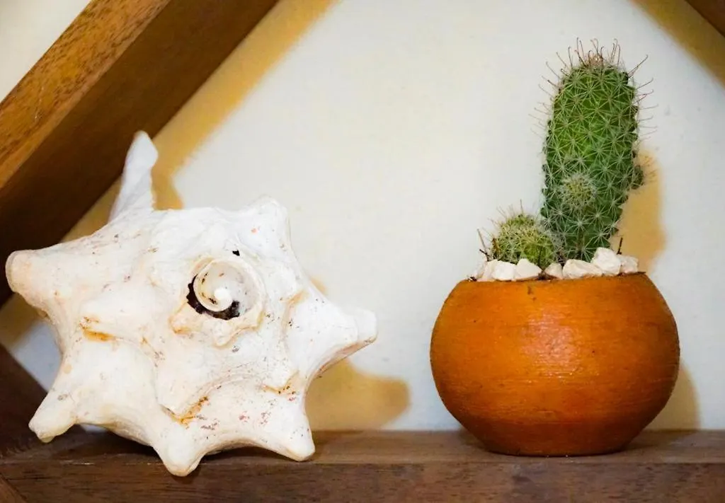 Chill Inn Hostel Tulum