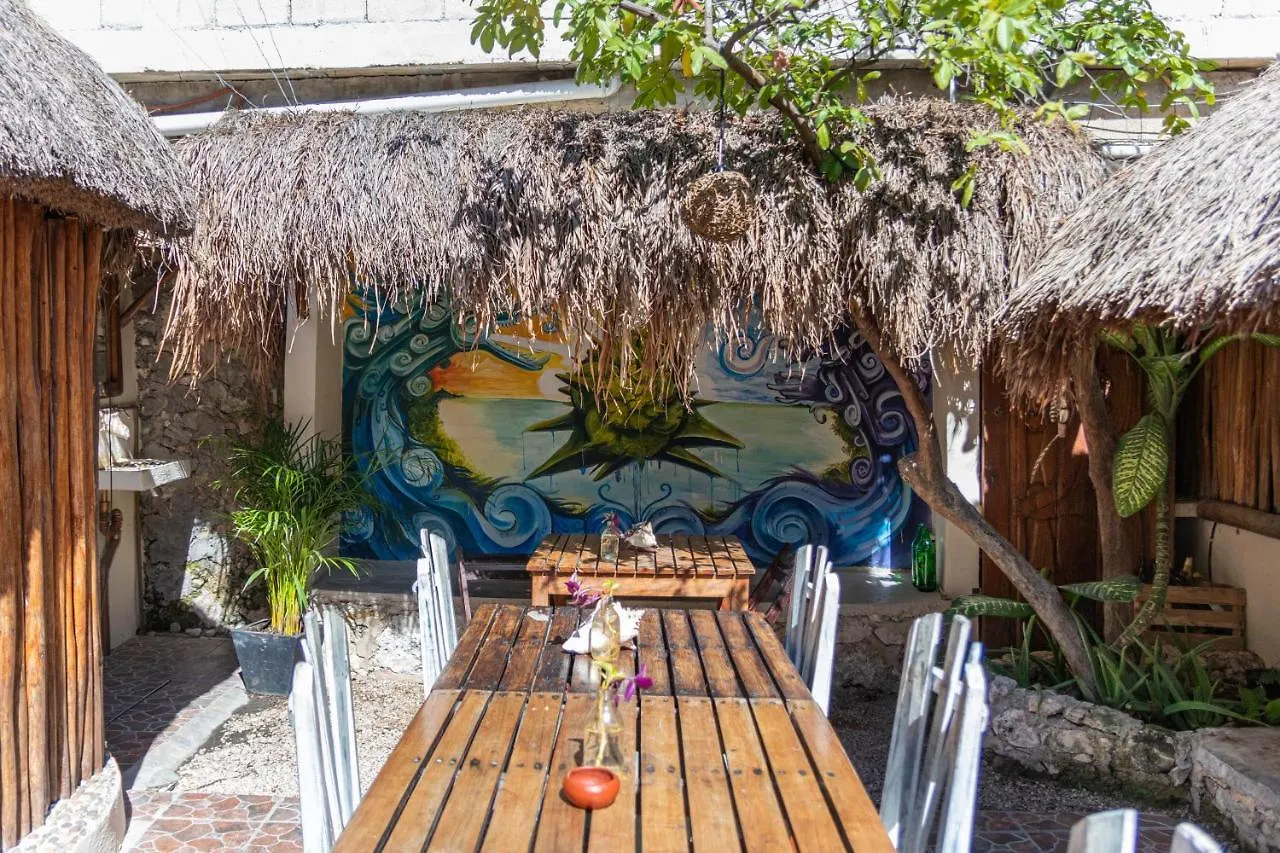 Chill Inn Hostel Tulum