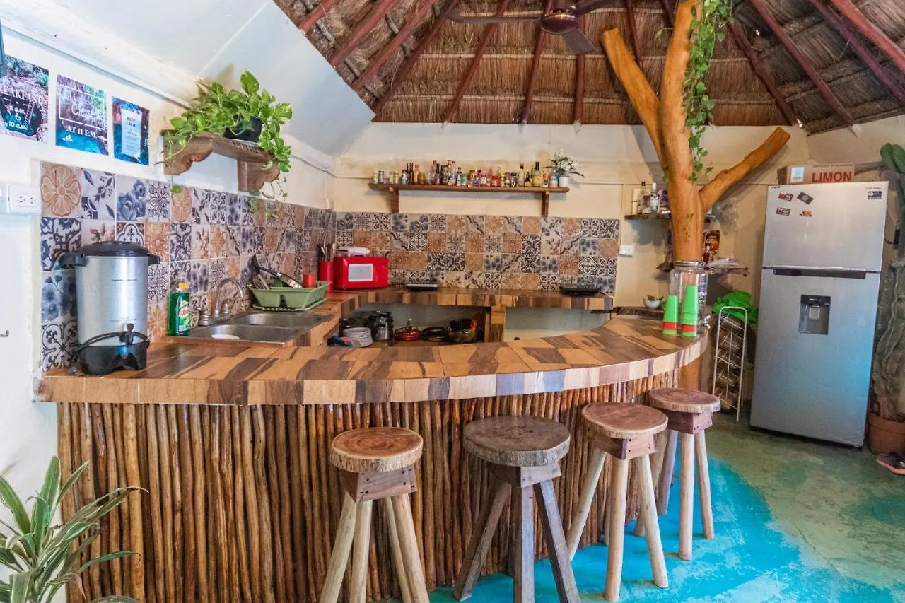 Chill Inn Hostel Tulum Mexico