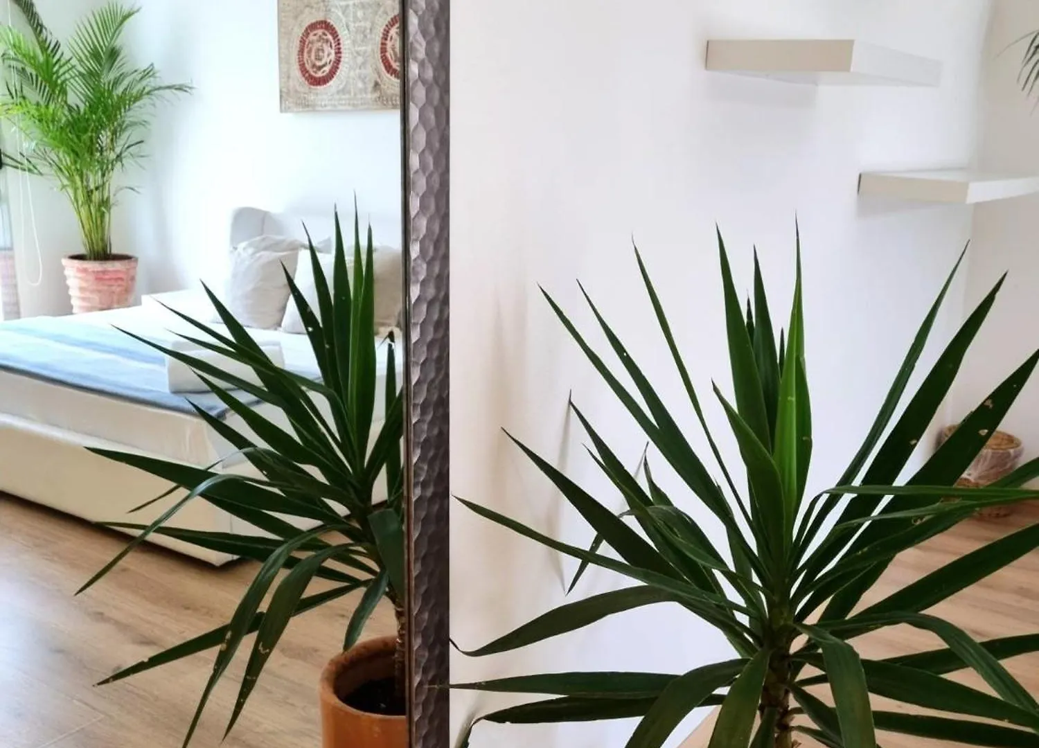 Chill Inn Hostel Tulum Mexico